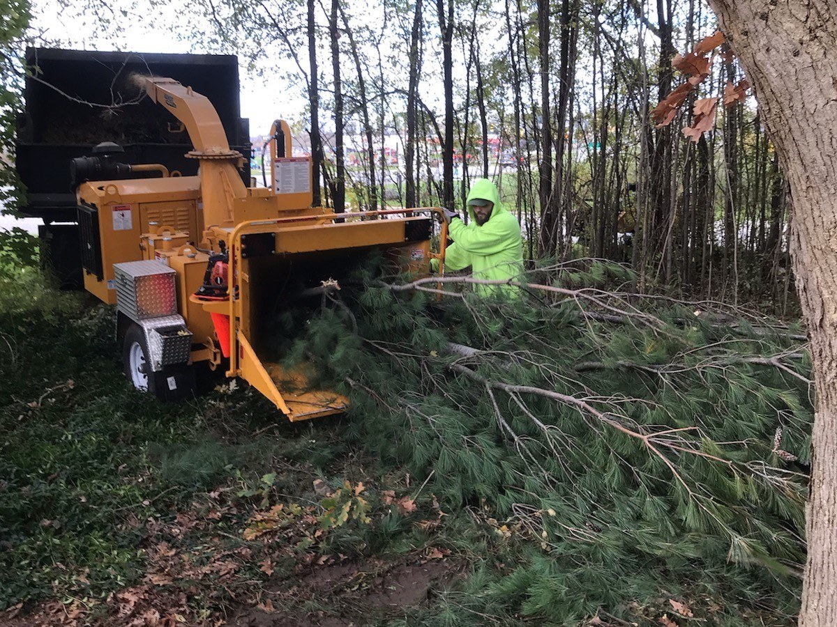 Progressive Tree Service, MI